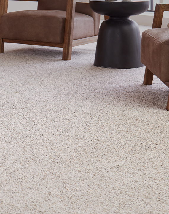 Installed carpet flooring in living room